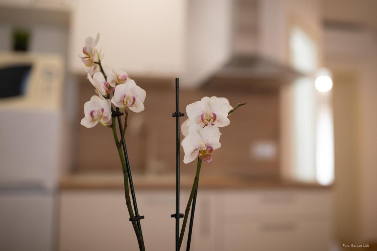 Apartments And Rooms Luan Rovinj Ngoại thất bức ảnh